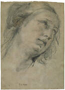 The Head of a Young Woman Looking Upward