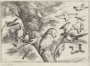 Vogels in een boom