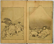 Illustrated book