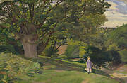 Hayes Common