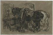 Two Draft Horses