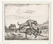 Vechtende honden