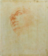 1F Study of a head