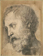 Head of An Apostle in the Transfiguration, 1519-1520