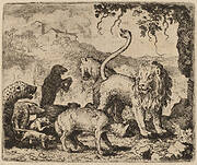 Reynard Accused
