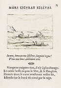 Les Dauphins et le Crocodile