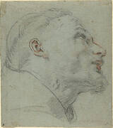 Head of Saint Francis