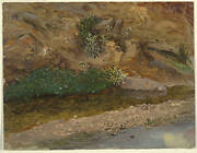 Bank of a Stream
