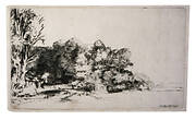 Clump of Trees with a Vista