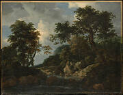 The Forest Stream