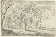 Studie van een groep bomen