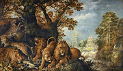 Zoo