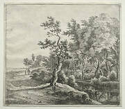 The Serpentine Road