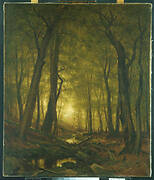 Evening in the Woods