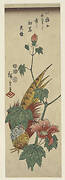 Gold pheasant and hibiscus