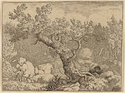 Sportsman near a Large Tree