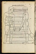 Proportions and perspective of man from five angles