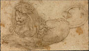 Study of a Lion