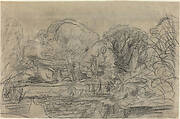 A Woodland Pond