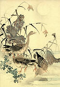 Geese