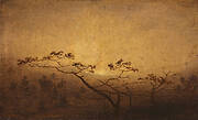 Autumn trees at sunrise