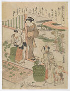 Kanekoya nabi