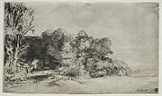 Clump of Trees with a Vista