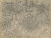 A deluge