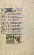 October Calendar Page; Sowing; Scorpio