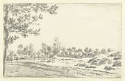 A Path along Sand Hills and Trees